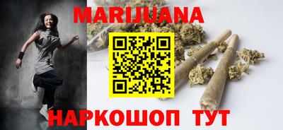 сатива Славгород