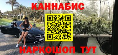 сатива Славгород