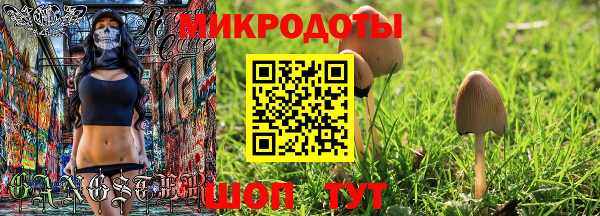 Невинномысск  Псилоцибиновые грибы Psilocybe  Вход с VPN 