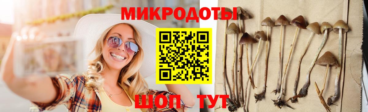 Галлюциногенные грибы Cubensis Невинномысск